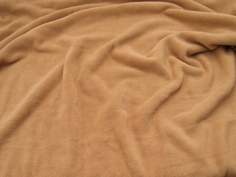 T0301636.JPG