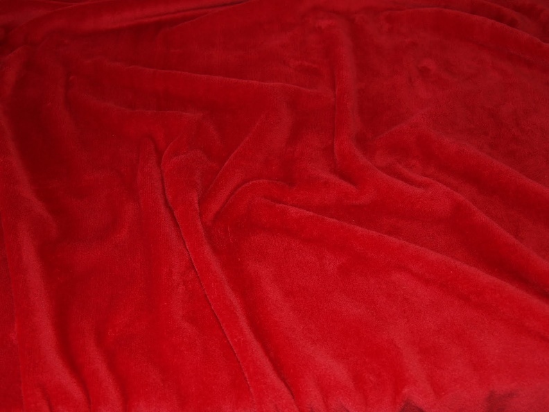 T0042006.JPG