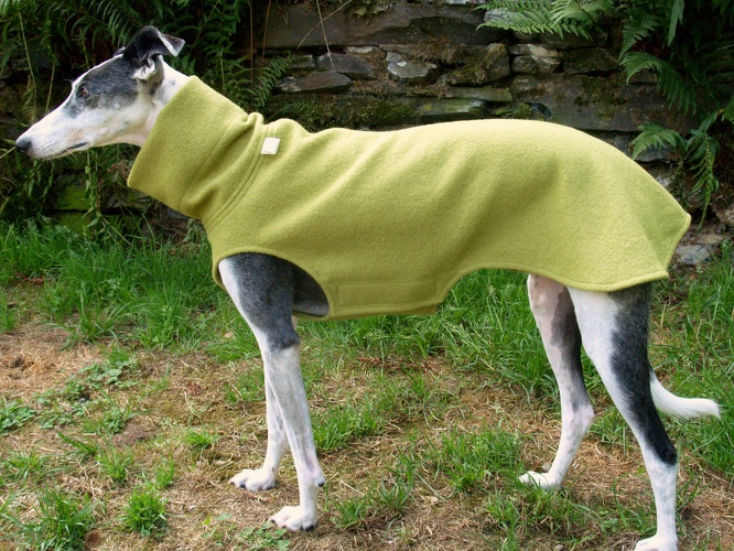 galgo coats
