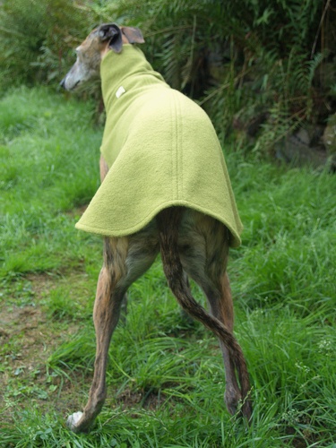 Walk-Pulli in Grösse S, Maße des Hundes: Rückenhöhe: 60cm, Rückenlänge: 60cm, Brustumfang: 64cm, Bauchumfang: 45cm