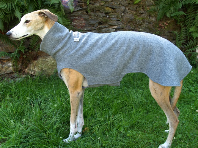 Walk-Pulli in Grösse XL, Maße des Hundes: Rückenhöhe: 72cm, Rückenlänge: 73cm, Brustumfang: 79cm, Bauchumfang: 49cm