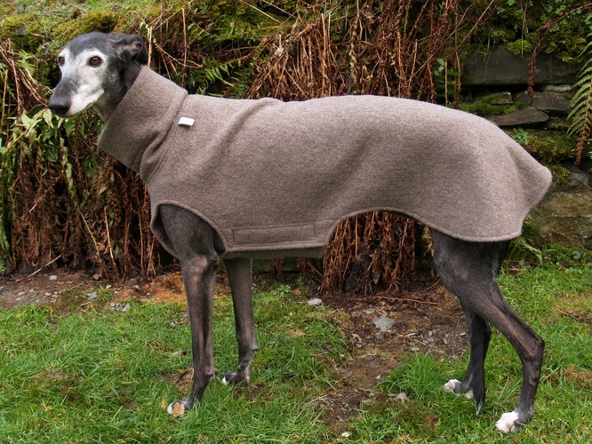 Walk-Pulli in Grösse XXL, Maße des Hundes: Rückenhöhe: 70cm, Rückenlänge: 70cm, Brustumfang: 79cm, Bauchumfang: 50cm