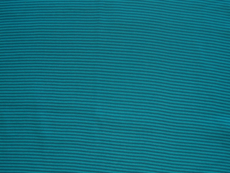 T0021153.JPG