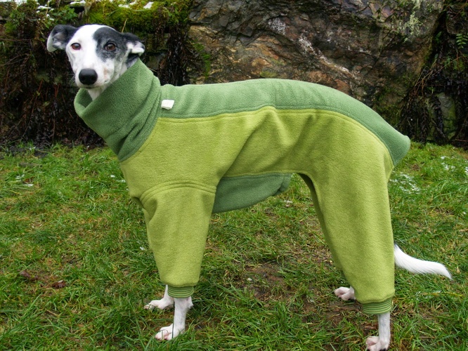 Galgo/Grey-Hündin, Modell: "Kermit", Fleece: Hellgrün und Apfelgrün, Größe: S, Rückenlänge Jumper: 62cm, Bestell-Nr.: JGH-Kermit-S, Preis: 62,50€