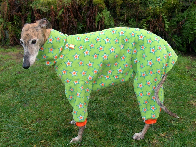 Galgo/Grey-Hündin, Fleece: Sterne Grün, Bündchen: Orange/Rot, Größe: M, Rückenlänge Jumper: 66,5cm, Bestell-Nr.: JGH-ST/GR2-M, Preis: 63,50€ 