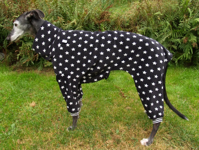 Galgo/Grey-Rüde, Fleece: Schwarz mit weißen Sternen, Grösse: XL, Bündchen: Schwarz/Weiß, Rückenlänge Jumper: 78cm, Bestell-Nr.: JGR-S/ST-XL, Preis: 71,50€