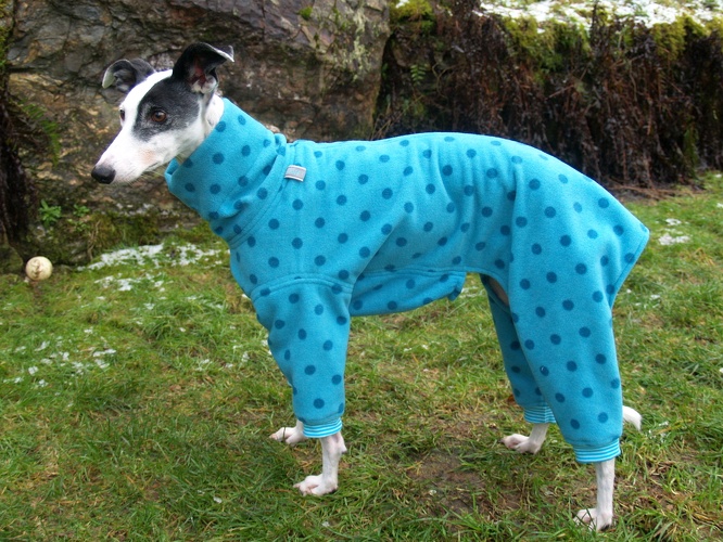 Galgo/Grey-Hündin, Fleece: Hell-Petrol mit petrol Tupfen, Bündchen: Hell-Türkis/Türkis, Größe: S, Rückenlänge Jumper: 62cm, Bestell-Nr.: JGH-HP/P-S, Preis: 59,50€