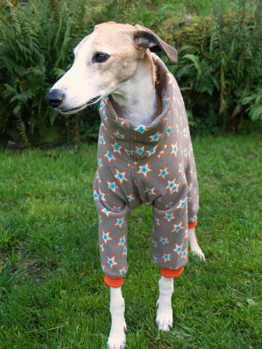 Jumper in Größe XL, Maße des Hundes: Rückenhöhe: 72cm, Rückenlänge: 69cm, Brustumfang: 76cm, Bauchumfang: 49cm