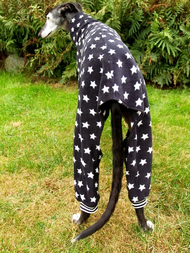 Jumper in Größe XL, Maße des Hundes: Rückenhöhe: 70cm, Rückenlänge: 70cm, Brustumfang: 79cm, Bauchumfang: 50cm