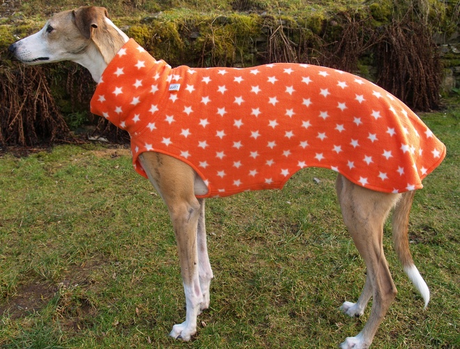 Fleece: Orange mit weißen Sternen, Größe: L, Maße des Hundes: Rückenhöhe: 72cm, Rückenlänge: 66cm, Brustumfang: 75cm, Bauchumfang: 49cm, Bestell-Nr.: PG-O/ST-L, Preis: 39,50€