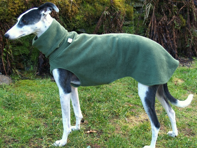 Fleece: Tannen-Grün, Größe: S, Maße des Hundes: Rückenhöhe: 58cm, Rückenlänge: 52cm, Brustumfang: 61cm, Bauchumfang: 43cm, Bestell-Nr.: PG-TGR-S, Preis: 39,50€