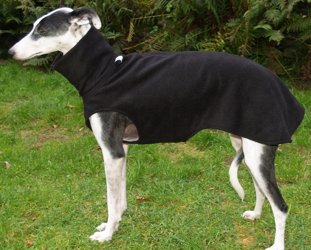 Fleece: Schwarz, Größe: S, Maße des Hundes: Rückenhöhe: 58cm, Rückenlänge: 52cm, Brustumfang: 61cm, Bauchumfang: 43cm, Bestell-Nr.: PG-S-S, Preis: 39,50€