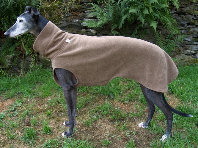 Pulli in Größe XXL, Maße des Hundes: Rückenhöhe: 70cm, Rückenlänge: 70cm, Brustumfang: 79cm, Bauchumfang: 50cm