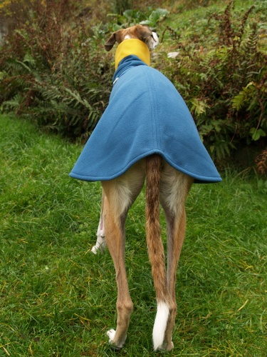 Doubleface-Pulli in Größe L, Maße des Hundes: Rückenhöhe: 72cm, Rückenlänge: 69cm, Brustumfang: 75cm, Bauchumfang: 49cm