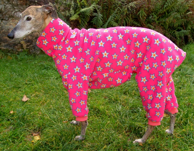 Galgo/Grey-Hündin, Fleece: Sterne Pink, Bündchen: Rosa/Pink, Größe: M, Rückenlänge Jumper: 66,5cm, Bestell-Nr.: JGH-ST/P-M, Preis: 63,50€