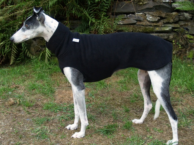 Fleece: Schwarz, Bestell-Nr.: PW-S-M, Preis: 37,00€