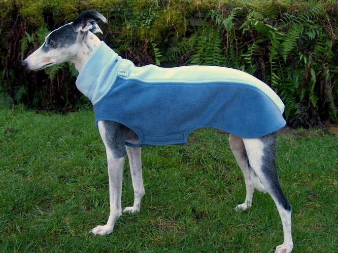MIT EINSEITIGEM KLETT, STOFFMIX, Fleece: Eis-Blau und Baby-Blau, Bestell-Nr.: PW-EBL/HBL-L-K, Preis: 46,00€