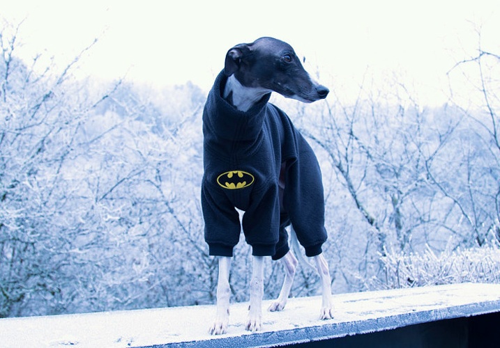 Modell "Batman"