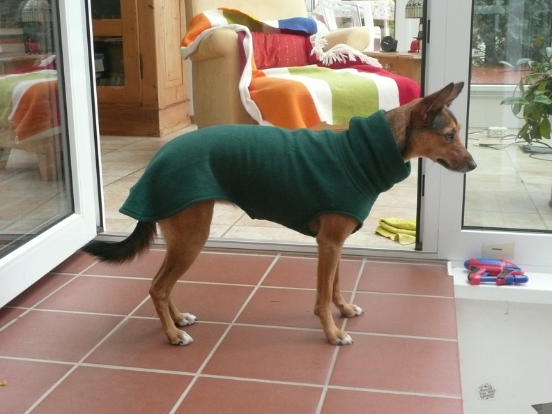 Lilli-Puchens Deich-Outfit 12. Okt. 2013 009.JPG