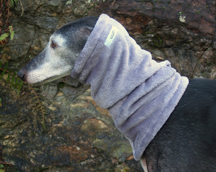 T0118821-002.JPG