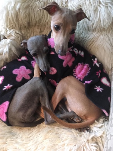 Ophelia und Olive