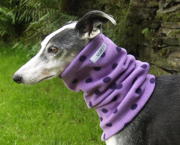 DIE LETZTE SO LIEFERBARE STULPE, Einlagig mit Einschlitzung für Halsband, Fleece: Violett mit lila Tupfen, Bestell-Nr.: HE-V/L-S, Preis: 13,50€