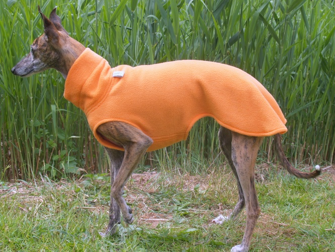 Fleece: Hellorange, Bestell-Nr.: PW-HO-XS, Preis: 37,00€