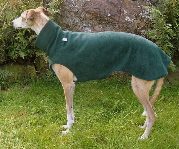 Fleece: Dunkel-Grün Größe: L, Bestell-Nr.: PG-DGR-L, Preis: 39,50€