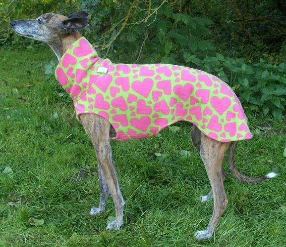 Fleece: Herzen Hell-Grün/Pink, Größe: S, Bestell-Nr.: PW-H/GP-S, Preis: 37,00€