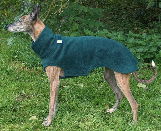 MIT EINSEITIGEM KLETT, Fleece: Dunkel-Grün, Bestell-Nr.: PW-DGR-S-K, Preis: 43,50€