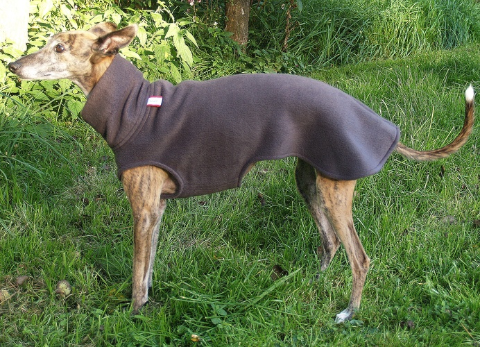 Fleece: Dunkel-Grau, Bestell-Nr.: PW-DG-S, Preis: 37,00€
