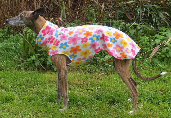 Fleece: Flower-Power, Bestell-Nr.: PW-FP-S, Preis: 37,00€