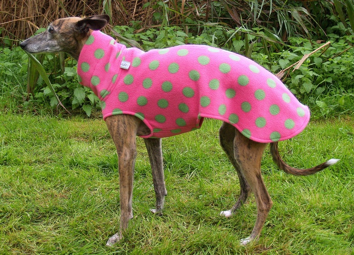 DER LETZTE SO LIEFERBARE PULLI, Fleece: Pink mit grünen Tupfen, Bestell-Nr.: PW-P/GR-S, Preis: 37,00€
