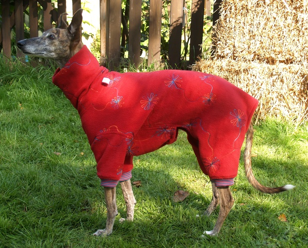 DER LETZTE SO LIEFERBARE JUMPIE, Hündin, Fleece: Dunkel-Rot mit Blumenstick, Bündchen: Rot/Türkis, Größe: XS, Bestell-Nr.: JWH-S/DR-XS, Preis: 55,00€