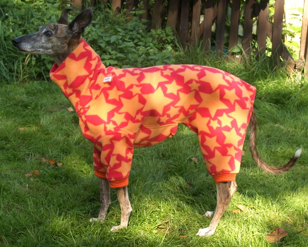 Sterne Rot/Orange, Material-Nummer: FG-53