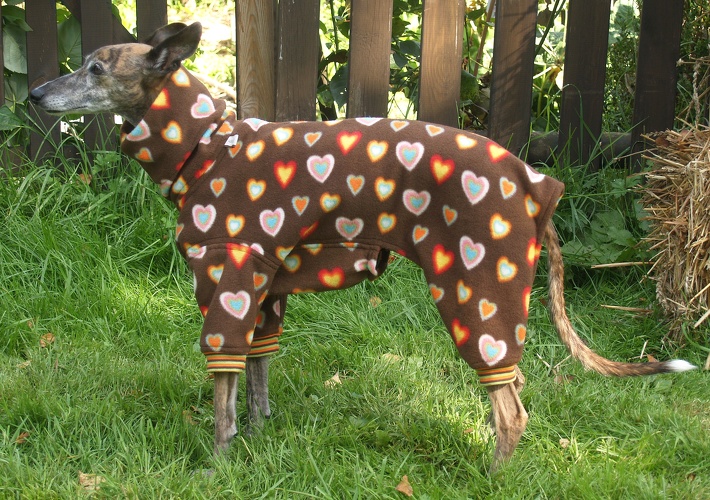 Herzchen bunt, Material-Nummer: FG-71
