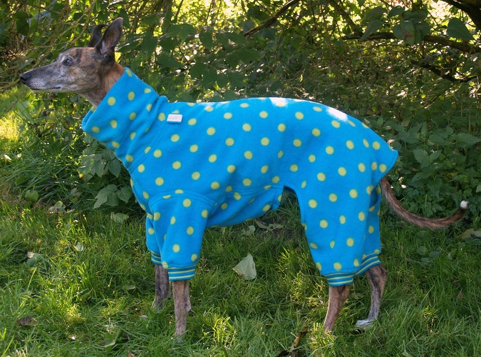 Türkis mit kleinen hellgrünen Tupfen, Durchmesser der Tupfen: 1,5cm, Material-Nummer: FG-13