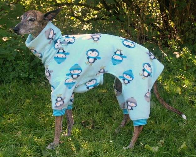 Pinguine-Mint, Material-Nummer: FG-60