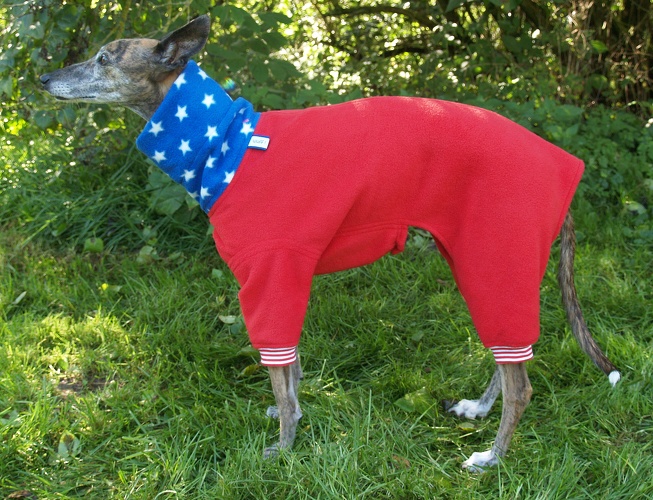 Jumper in Größe XS, Maße des Hundes: Rückenhöhe: 50cm, Rückenlänge: 50cm, Brustumfang: 57cm, Bauchumfang: 33cm