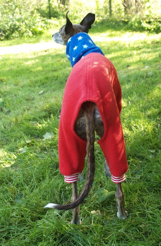 Jumper in Größe XS, Maße des Hundes: Rückenhöhe: 50cm, Rückenlänge: 50cm, Brustumfang: 57cm, Bauchumfang: 33cm