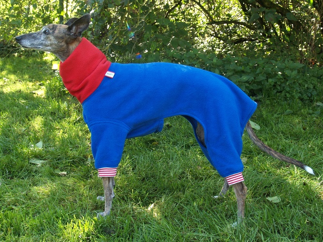 Jumper in Größe S, Maße des Hundes: Rückenhöhe: 50cm, Rückenlänge: 50cm, Brustumfang: 57cm, Bauchumfang: 33cm