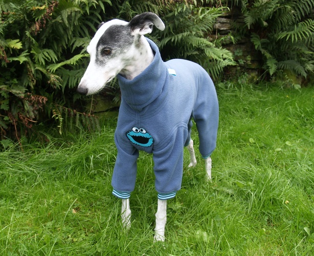 Jumper in Größe L, Maße des Hundes: Rückenhöhe: 58cm, Rückenlänge: 52cm, Brustumfang: 61cm, Bauchumfang: 43cm