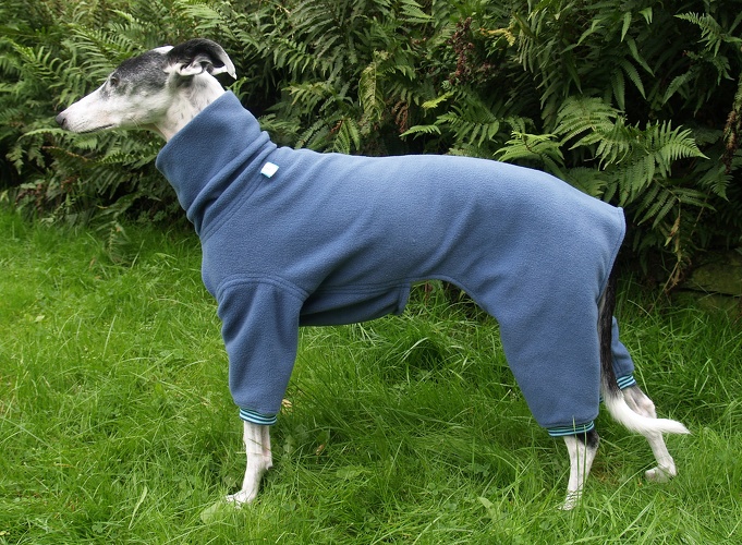 Jumper in Größe L, Maße des Hundes: Rückenhöhe: 58cm, Rückenlänge: 52cm, Brustumfang: 61cm, Bauchumfang: 43cm