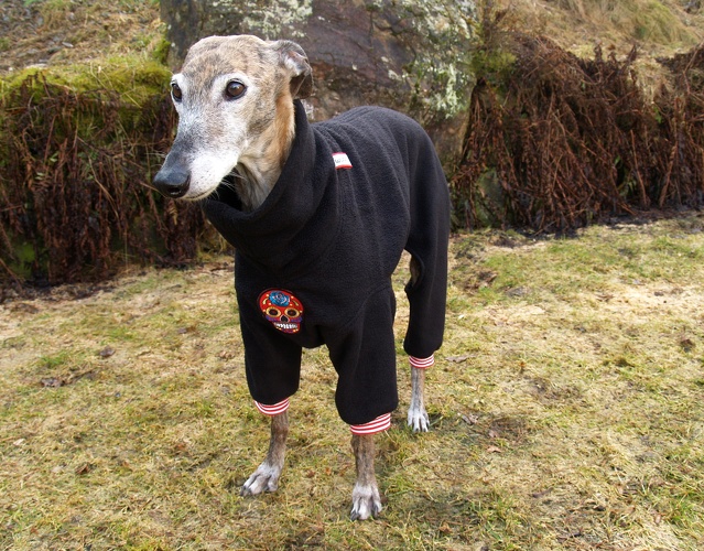 Patch: Totenkopf Rot, Fleece: Schwarz, Bündchen: Rot/Weiß