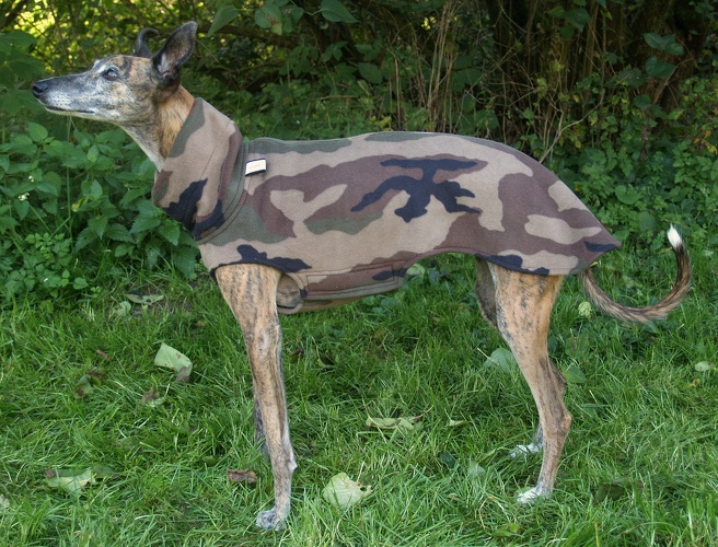 DER LETZTE SO LIEFERBARE PULLI, MIT EINSEITIGEM KLETTVERSCHLUß, Doubleface: Camouflage/Schwarz, Größe: S, Bestell-Nr.: DFW-CAM/S-S-K, Preis: 49,00€  