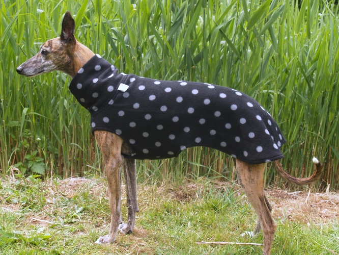 Schwarz mit kleinen grauen Tupfen, Durchmesser der Tupfen: 1,5cm, Material-Nummer: FG-50