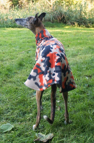 Pulli in Größe Whippet M, Maße des Hundes: Rückenhöhe: 50cm, Rückenlänge: 50cm, Brustumfang: 57cm, Bauchumfang: 33cm