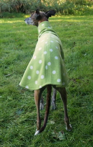 Pulli in Größe Whippet S, Maße des Hundes: Rückenhöhe: 50cm, Rückenlänge: 50cm, Brustumfang: 57cm, Bauchumfang: 33cm