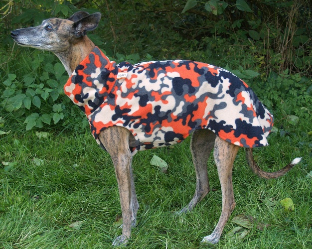 Pulli in Größe Whippet M, Maße des Hundes: Rückenhöhe: 50cm, Rückenlänge: 50cm, Brustumfang: 57cm, Bauchumfang: 33cm