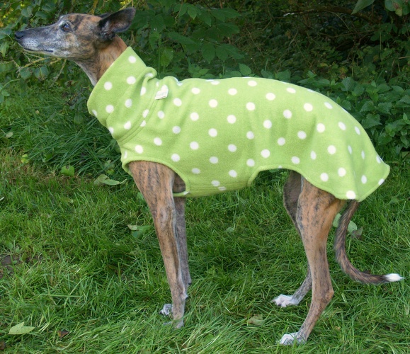 Pulli in Größe Whippet S, Maße des Hundes: Rückenhöhe: 50cm, Rückenlänge: 50cm, Brustumfang: 57cm, Bauchumfang: 33cm